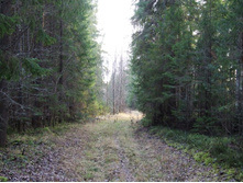 DSCF1206.JPG