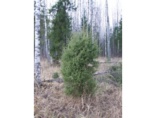 DSCF1221.JPG