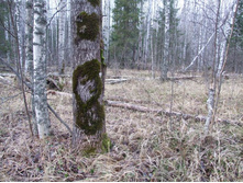 DSCF1222.JPG