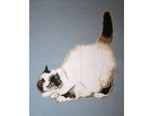 ���� 001.jpg