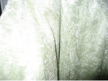 ��������,���������.������� ����� �����-50�