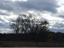 DSCF1089.JPG