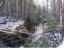DSCF1123.JPG