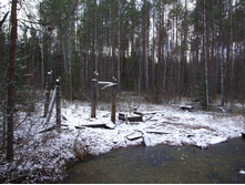 DSCF1134.JPG