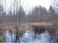 DSCF1145.JPG