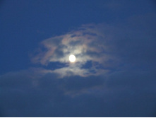 DSCF1151.JPG