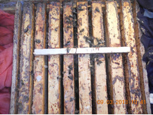 ������ � �������