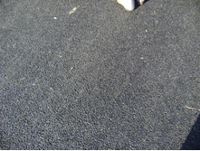 ��� ����� ����� ��� �������