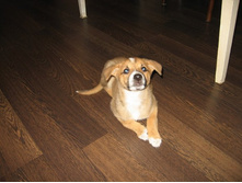 2 ������, ���� �����