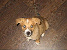 2 ������