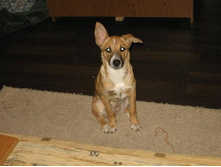 ����� 4 ������