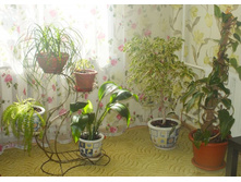 DSCF1895.JPG