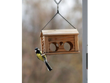 �������� 2.jpg