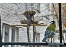 �������� 3.jpg