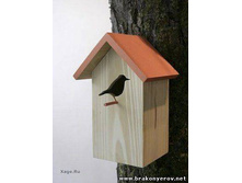 ���������� 4.jpg