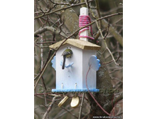 ���������� 6.jpg