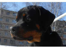 DSCN1238.JPG