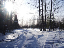 DSCF1590.JPG