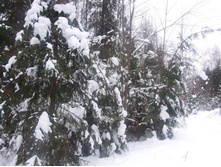 DSCF1610.JPG
