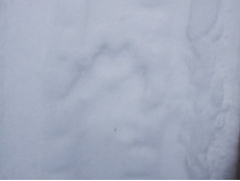 DSCF1614.JPG