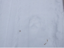 DSCF1615.JPG