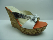 481 ����� ����.JPG