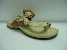 T1 ���.��� �.jpg