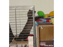 ��� ��� ��� �����?.... �������������...