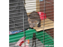 ��������� ����....