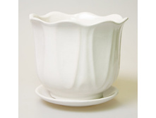 ����������� 4.jpg