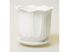 ����������� 5.jpg