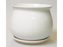 �������� 2.jpg