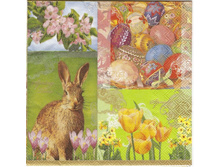 № 122  1/4 ����    8 ���