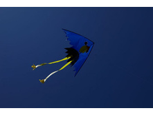 ������� 560 ���.