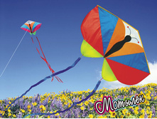 ������� 430 ���.