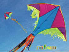 ������ 430 ���.