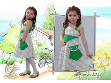 �2015(1) (Custom).jpg