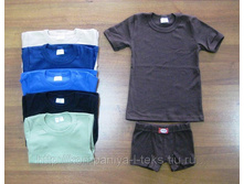 23925	�������� (��������+�������) (������)