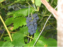 ������ ������.JPG