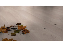 ��� �������� ����� ��������.jpg