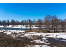 ������ (1).jpg