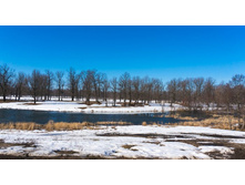 ������ (2).jpg