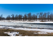 ������ (4).jpg