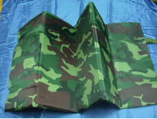 �������. 500 ���