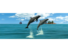 ��������-������� - �������� �������� (���.810) 99�.jpg