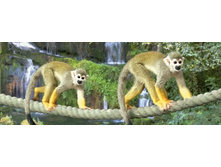 ��������-������� - �������� ��������� (���.827) 87�.jpg