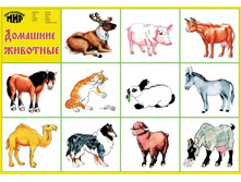 �� 15 ��� �����