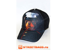 245� ����� ����.jpg