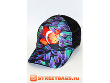 245� ����� ���.jpg