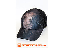 245� ���� �����.jpg